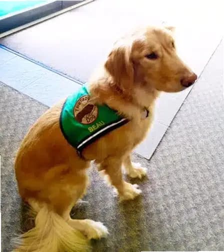 Athens Area Commencement Center